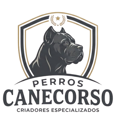 Perros Cane Corso